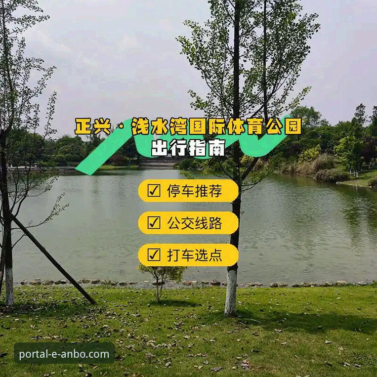 安博体育最新版本下载完整指南：老用户教你如何快速上手